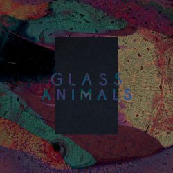 Portada Glass Animals - Exxus