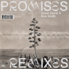 Portada Calvin Harris;Sam Smith - Promises (David Guetta Remix) Calvin Harris;Sam Smith - Promises (David Guetta Remix)
