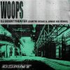 Portada DJ Bountyhunter - Woops (Dimitri Vegas & Junkie Kid Remix) DJ Bountyhunter - Woops (Dimitri Vegas & Junkie Kid Remix)