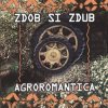 Portada Zdob și Zdub - Sirba de la Chisinau Zdob și Zdub - Sirba de la Chisinau