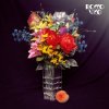 Rocco Vice - Alles