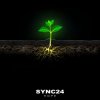 SYNC24 - The Frog and the Bubble