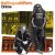 Portada Shapeshifters - Chime