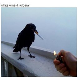 Portada The Chainsmokers & Beau Nox - White Wine & Adderall