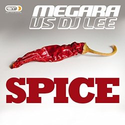 Portada Megara vs. DJ Lee - Spice (Single Edit)