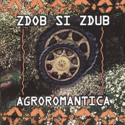 Portada Zdob și Zdub - Doina haiducului