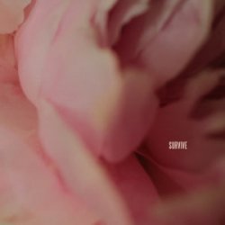 Portada Lewis Capaldi - Survive