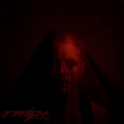 Portada Dear Tash - It's A Riot