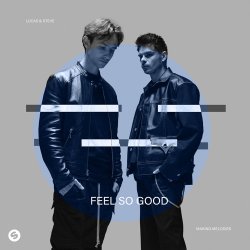 Portada Lucas & Steve - Feel So Good