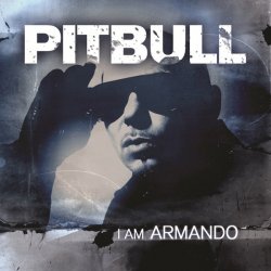 Portada Pitbull vs Afro - Maldito Alcohol
