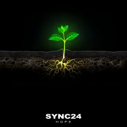 Portada SYNC24 feat. Ester Nannmark - Disconnected