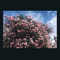 Portada Ceres - Okay
