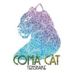 Portada Tensnake - Coma Cat