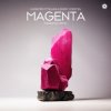 Portada Giuseppe Ottaviani & Ferry Corsten - Magenta (Fisherman Extended Remix) Giuseppe Ottaviani & Ferry Corsten - Magenta (Fisherman Extended Remix)