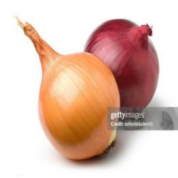 Portada internetcafe247 - funny onion song