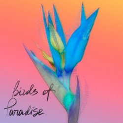 Portada From:Ksusha & Yongue - Birds Of Paradise