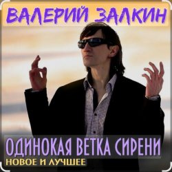 Portada Валерий Залкин - Одинокая ветка сирени