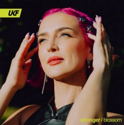 Portada Blossom - Stronger