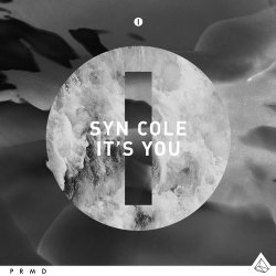 Portada Syn Cole - It's You (Original Mix)