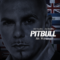 Portada Pitbull - Not An Alcoholic