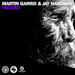 Portada Martin Garrix & Jay Hardway - Wizard (Original Mix)