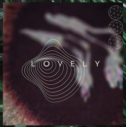 Portada Slowsly - Black Bird (Original Mix)