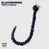 Portada FISHER & bbyclose - Blackberries (Extended Mix) FISHER & bbyclose - Blackberries (Extended Mix)