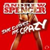 Portada Andrew Spencer - She Drives Me Crazy (Festival Extended Mix) Andrew Spencer - She Drives Me Crazy (Festival Extended Mix)
