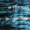 Portada Norman - Metrum Reflex Norman - Metrum Reflex