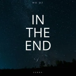 Portada MD Dj & Sebba - In The End