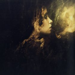 Portada Tim Green - Evaded