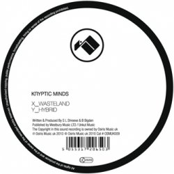 Portada Kryptic Minds - Hybrid