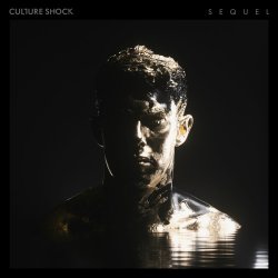 Portada Sub Focus feat. Culture Shock - Move Higher
