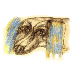 Portada Dolphin - Романс