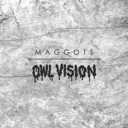 Portada Owl Vision - Maggots