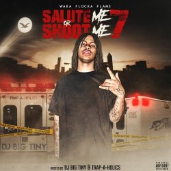 Portada Waka Flocka Flame - Fight