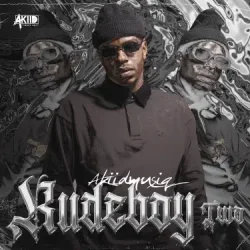 Portada AkiidMusiq - Vutha Mlilo (Mixed)