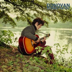 Portada Donovan - Hi, It's Been A Long Time
