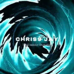 Portada Chriss Jay - Too Many Snakes