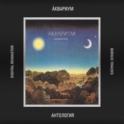 Portada Аквариум - Великий дворник