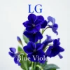 Portada Lali Gordzamashvili - ლურჯი იები-Blue Violets Lali Gordzamashvili - ლურჯი იები-Blue Violets