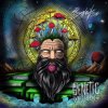 Portada Psydewise - Genetic Reflection Psydewise - Genetic Reflection