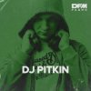Portada Dj Pitkin - RАЙ Dj Pitkin - RАЙ