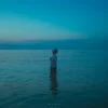 Portada ABIS - Blue ABIS - Blue
