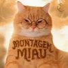 Lenar & Leonardo P - Montagem Miau - Slowed