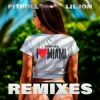 Portada Pitbull & Lil Jon - Damn I Love Miami (Apollo XO Remix) Pitbull & Lil Jon - Damn I Love Miami (Apollo XO Remix)