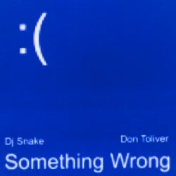 Portada DJ Snake & Don Toliver - Something Wrong