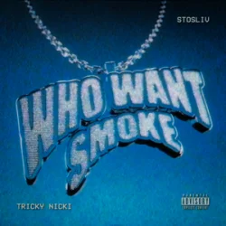Portada Tricky Nicki & STOSLIV - Who Want Smoke?