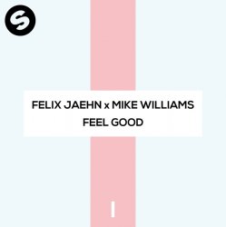 Portada Felix Jaehn x Mike Williams - Feel Good