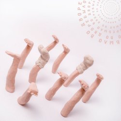 Portada PALC - Во дворе